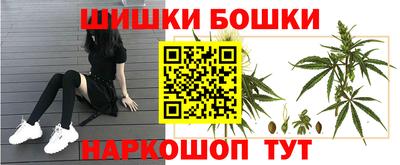 спиды Брянск
