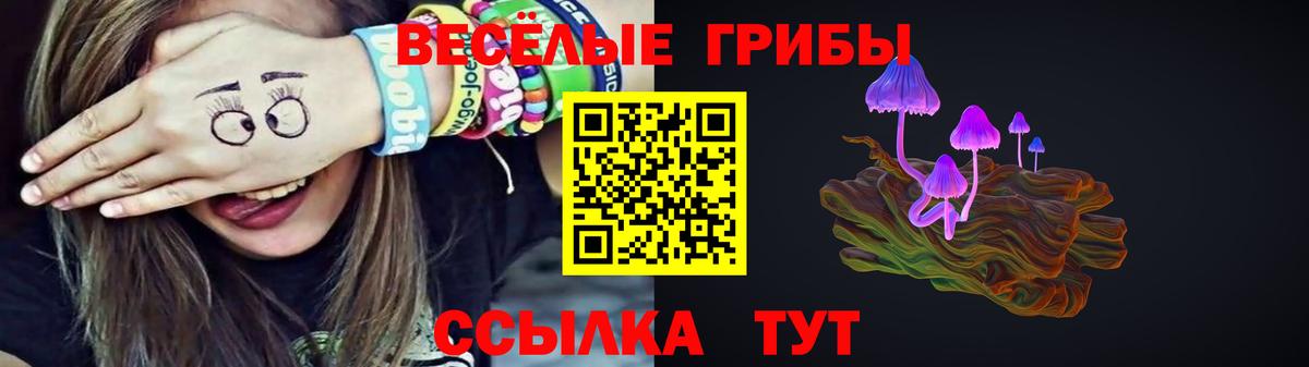 купить наркотик  Псилоцибиновые грибы ЛСД  Вход с VPN  Кисловодск 